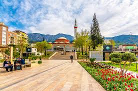 Furniture Transport from Manisa to Italy: Logistics, Customs, and Sustainable Packaging Perspective 9 manisa